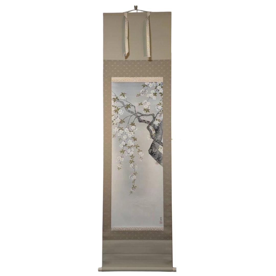 Hanging Scroll by Kawaguchi Seiko (Kawaguchi Seiko) - "Cherry Blossoms, Spring Scenery" - Nihonga: Kawaguchi Seiko is a renowned Japanese painter and scroll artist, primarily known for his works in kachoga (flower and bird paintings). Biography (Brief History) Showa 12 (1937) Born, affiliated with 