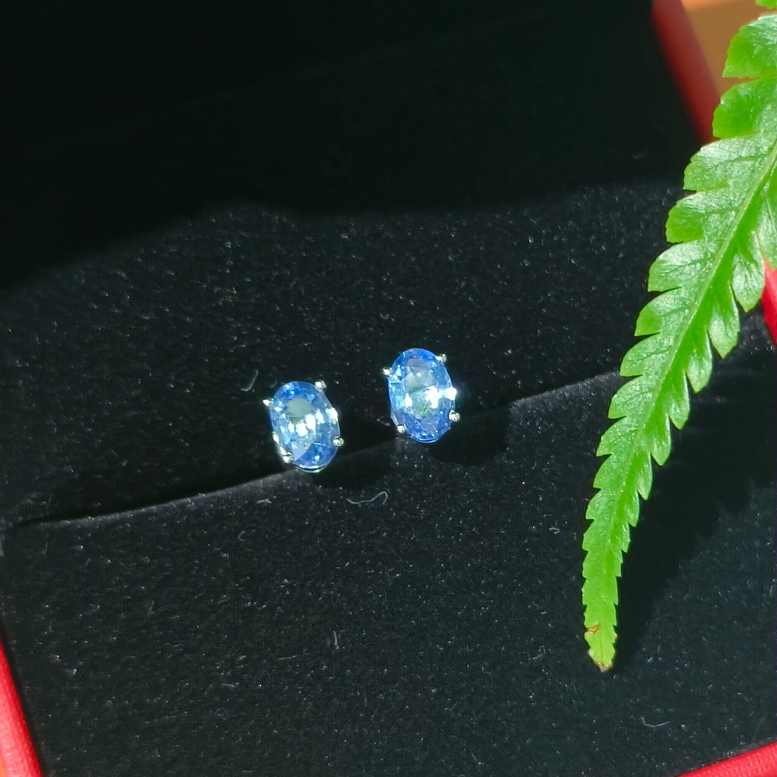 Platinum Natural Blue Sapphire Earrings: These earrings resemble a strand of icy blue charm, like an endless clear sky, capturing eternal brilliance. The platinum sheen complements the deep color of the natural blue sapphire, exuding a