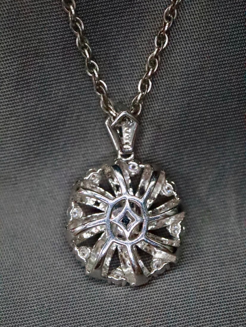 Platinum Unheated Ruby Pendant - 4