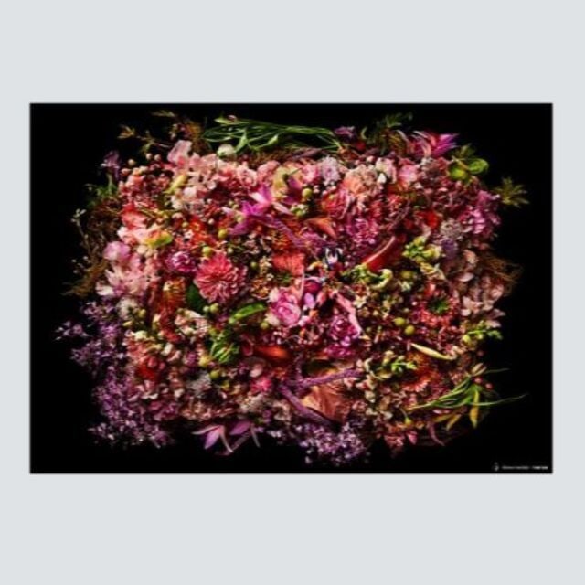 Limited Edition Floral EVA Unit-08 B1 Oversized Art Poster: Limited Edition Floral EVA Unit-08 B1 Oversized Art Poster This is a B1-sized art piece, measuring 728mm x 1030mm. This work is a limited edition from the collaboration between TOKION, EVANGELION, and