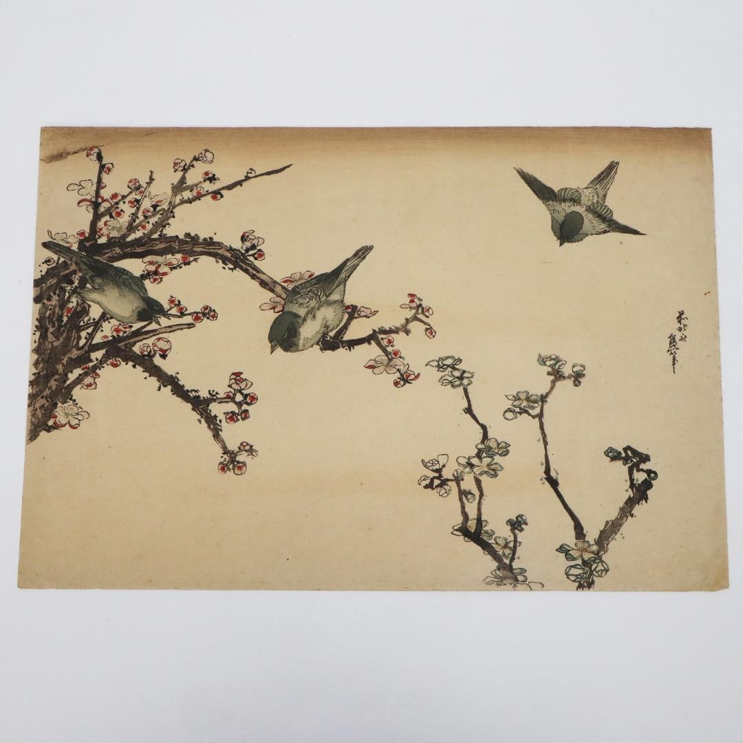 Katsushika Hokusai, oban, Woodblock Print, Kachoga, Ukiyo-e: Katsushika Hokusai, Large Format Woodblock Print, Kachoga (Birds and Flowers), Ukiyo-e Artist: Katsushika Hokusai Title: Ume (Plum) Dimensions approximately height 26.0 cm, width 38.0 cm. As it is an 