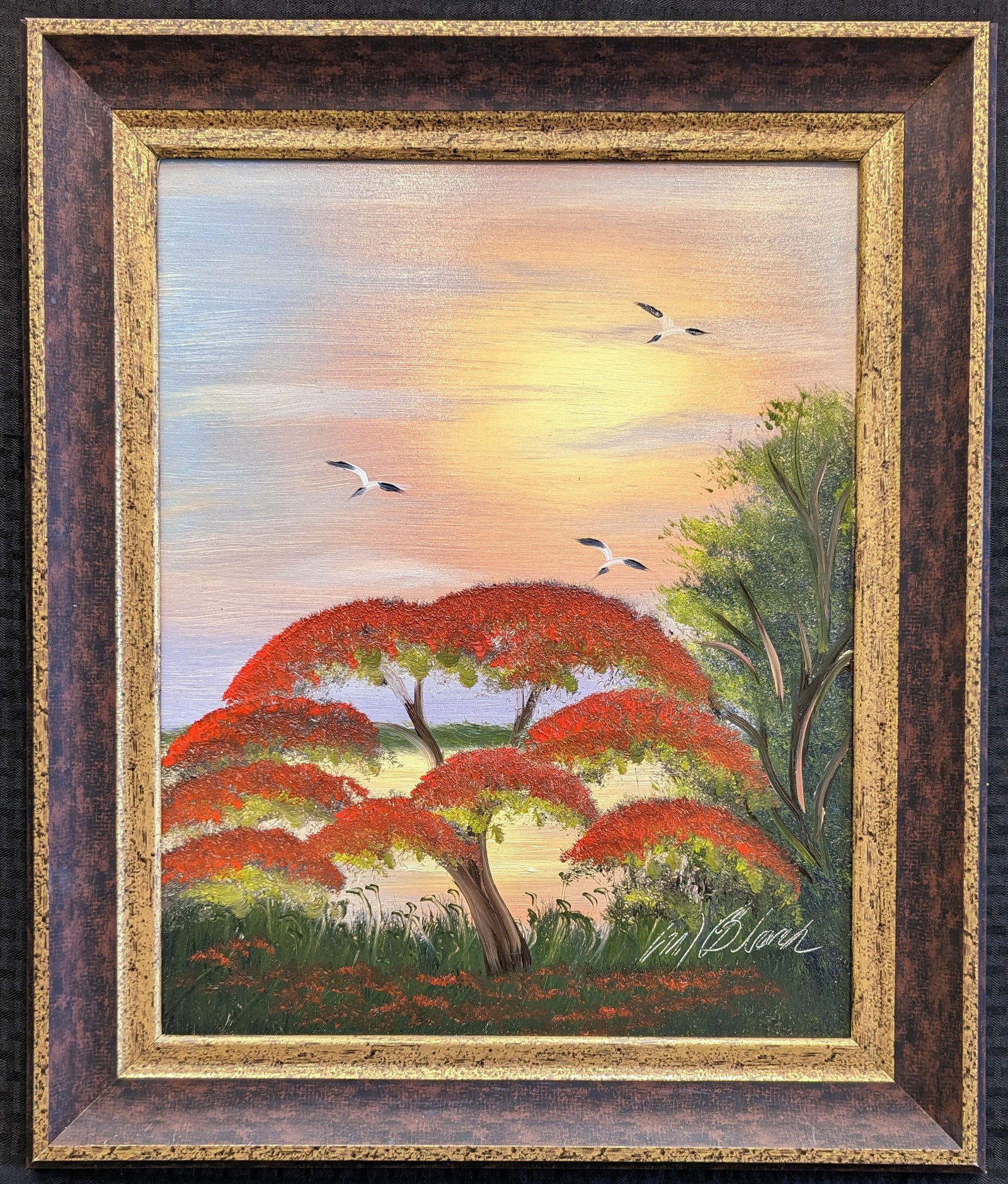 Al Black 20x16 'Poinciana Sunset' (1 of 6)