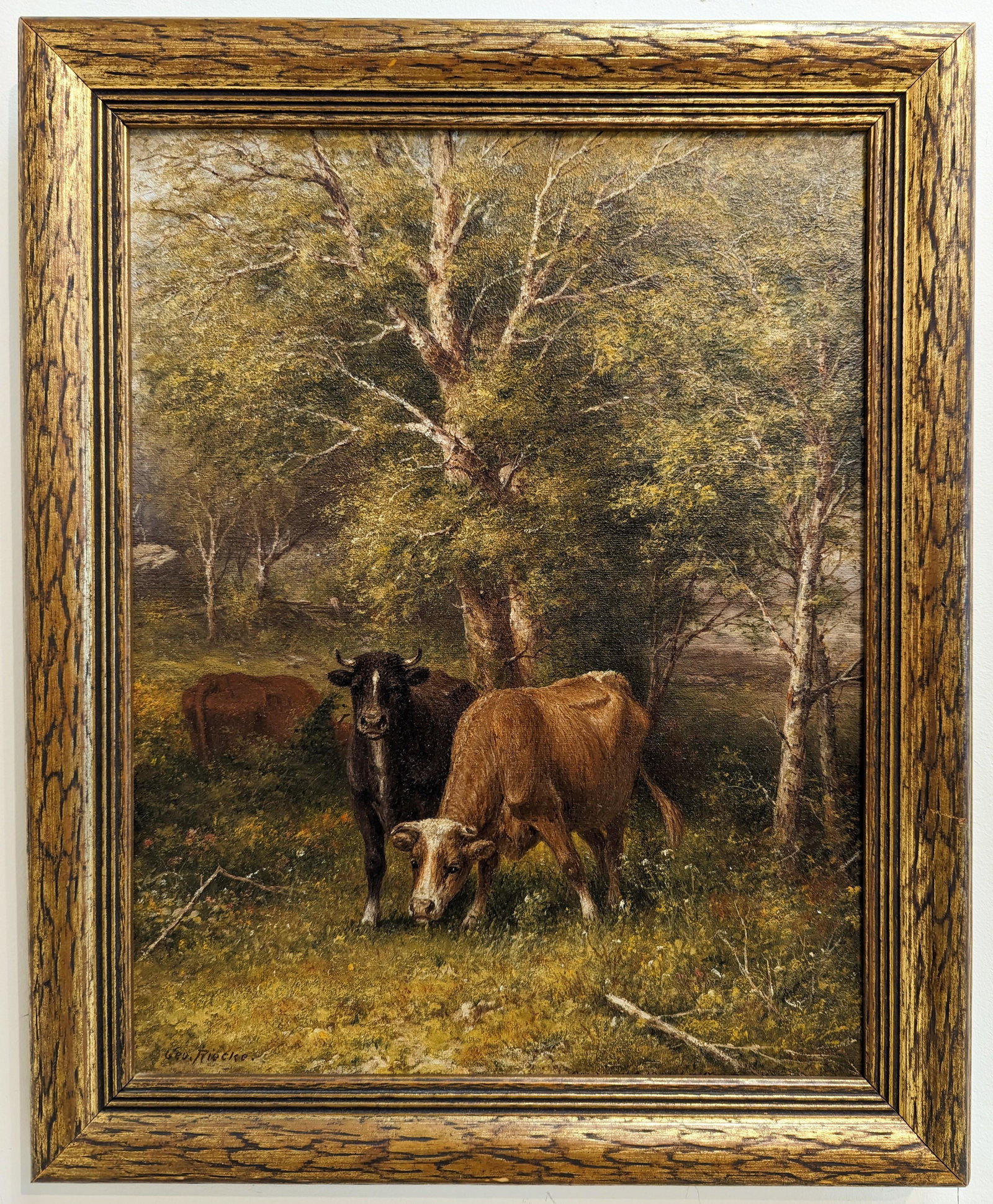 George Riecke 18x14 'In The Birch Woods': George Riecke (1848 - 1930). Oil painting 'In The Birch Woods' on canvas. Woods scene with birch trees and cows. Signed lower left, titled on canvas top under frame and written copyright and dated 190