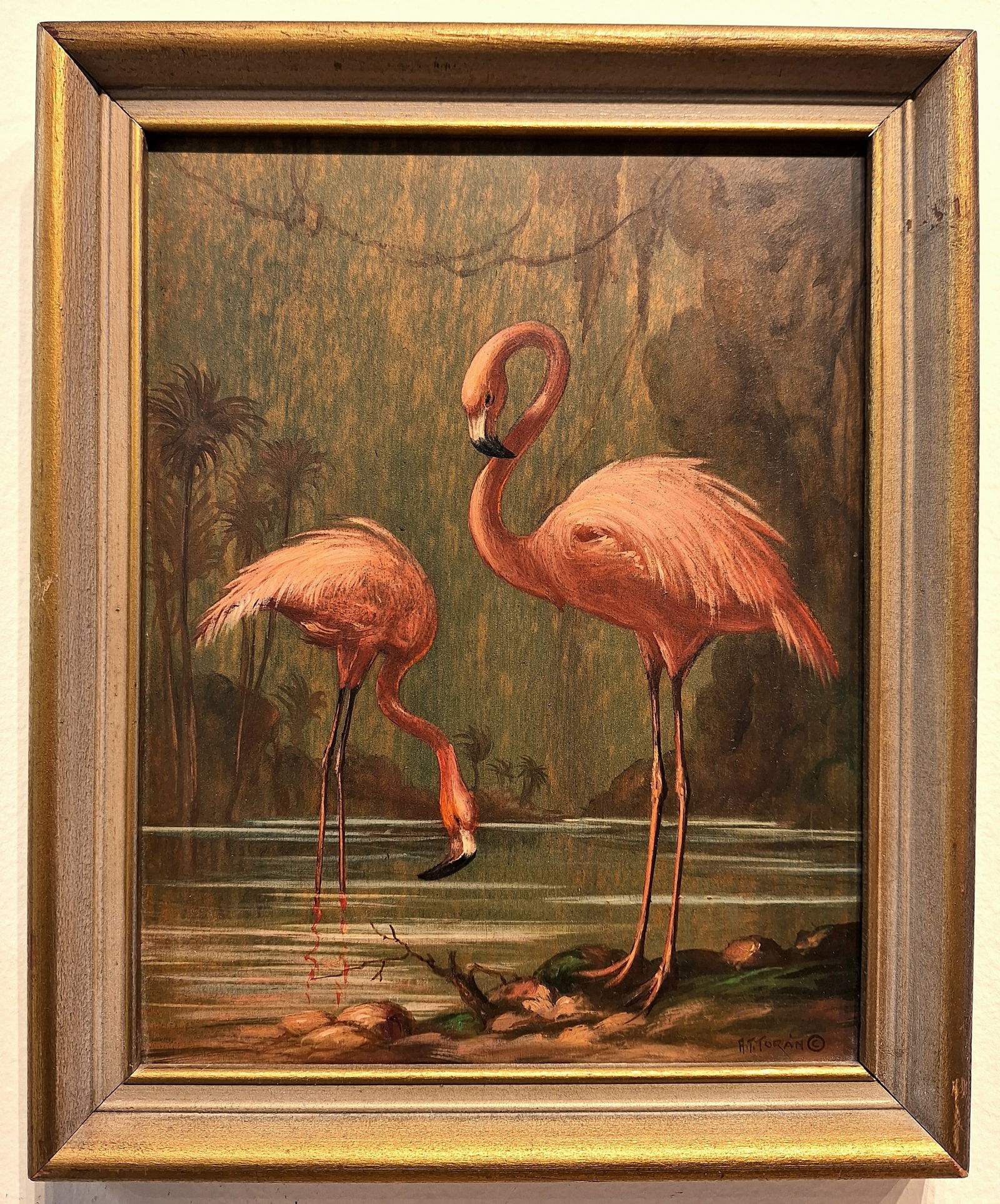 Alfonso Toran 10 x 8 'Flamingos' (1 of 4)