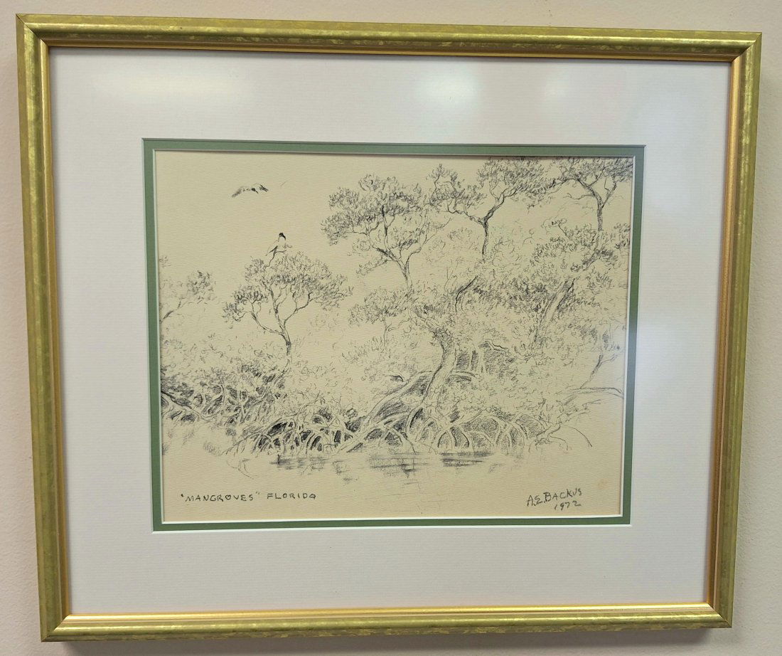 A.E. Backus 11 x 14 'Mangroves, Florida' Sketch Print (1 of 5)