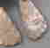 item-55069809=2