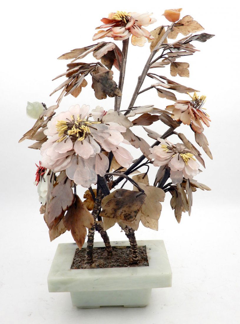 Jade tree in planter (1 of 1)