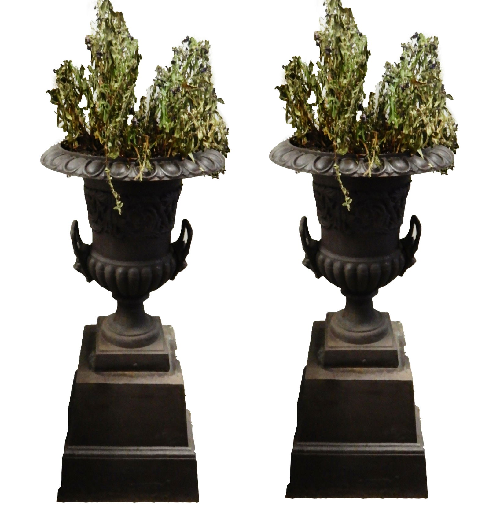 Pair of contemporary cast iron urns on stands (1 of 1)