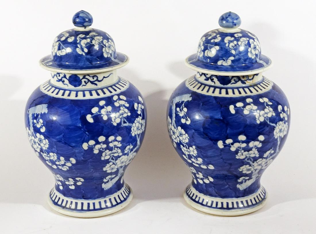 Pair of Chinese Export blue and white ginger jars (1 of 3)