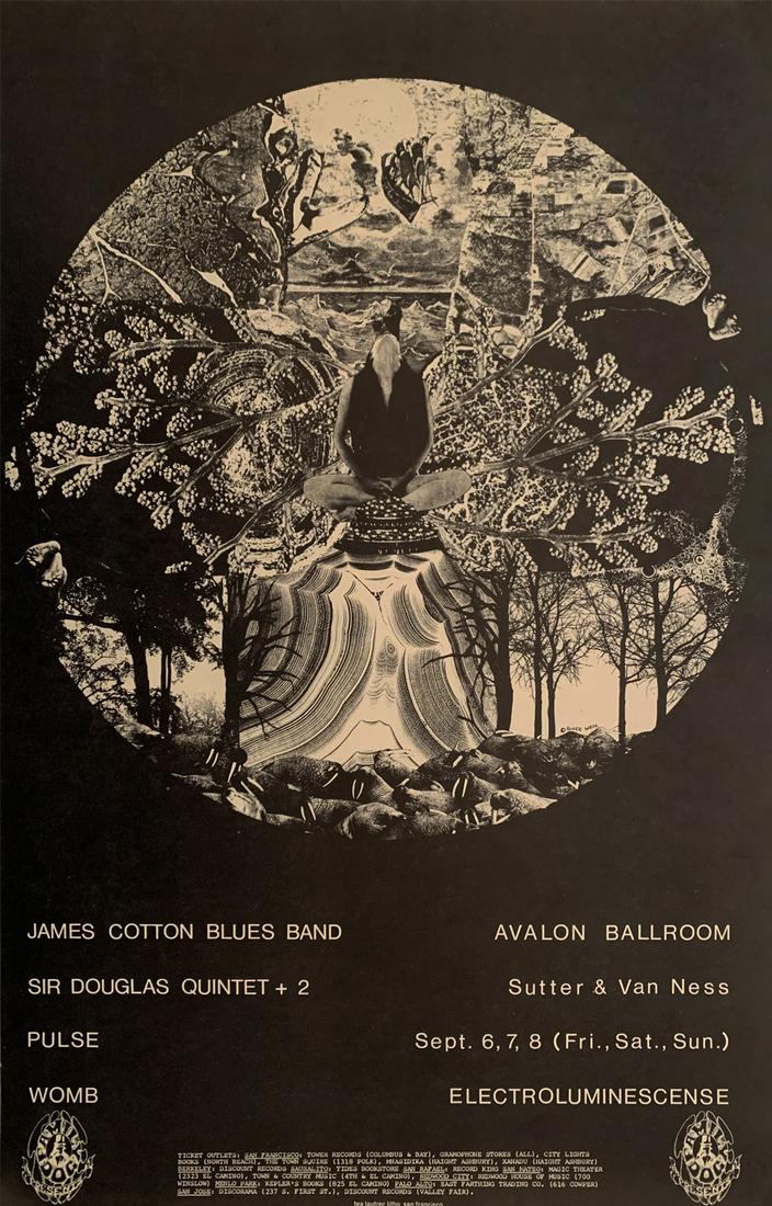 James Cotton Blues Band Concert Poster (1 of 1)