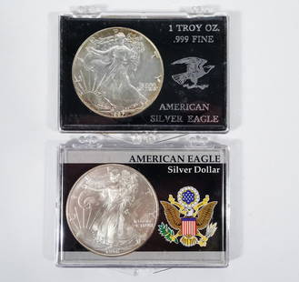 1987 and 1996 Silver American Eagles: 1987 and 1996 Silver American Eagles. .999 fine silver