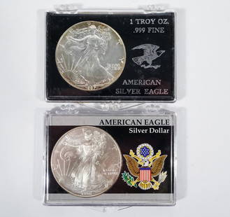 1987 and 1996 Silver American Eagles: 1987 and 1996 Silver American Eagles. .999 fine silver