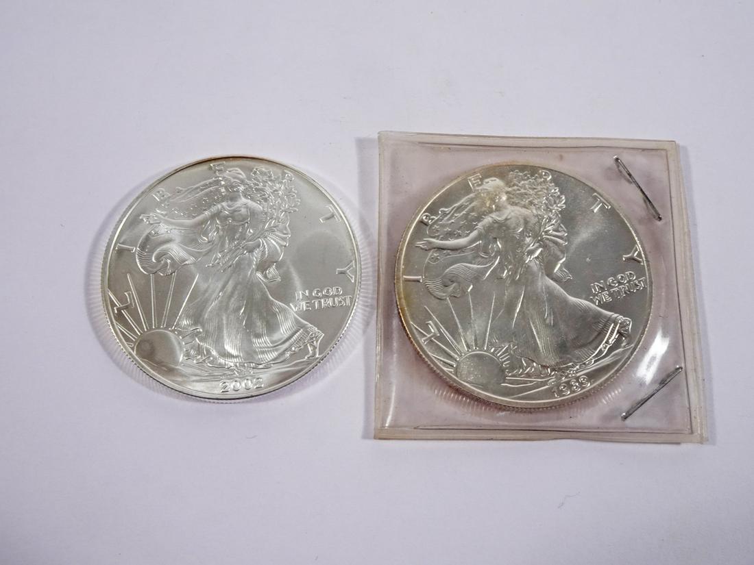 1989 and 2002 Silver American Eagles (1 of 2)