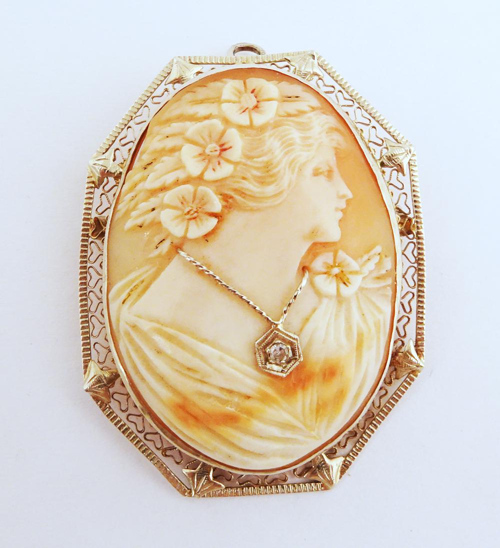 Cameo 14K Gold Pin/Pendant (1 of 2)