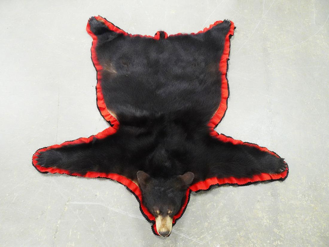 Taxidermy Black Bear Skin Rug (1 of 2)