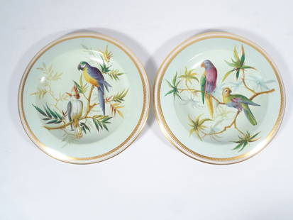 Pair of Continental Porcelain Bird Plates: Pair of Continental porcelain plates decorated with enameled hand painted birds perched on tree limbs, gilt painted decorated borders, circa late 19th c., both are unsigned, 9 1/2"