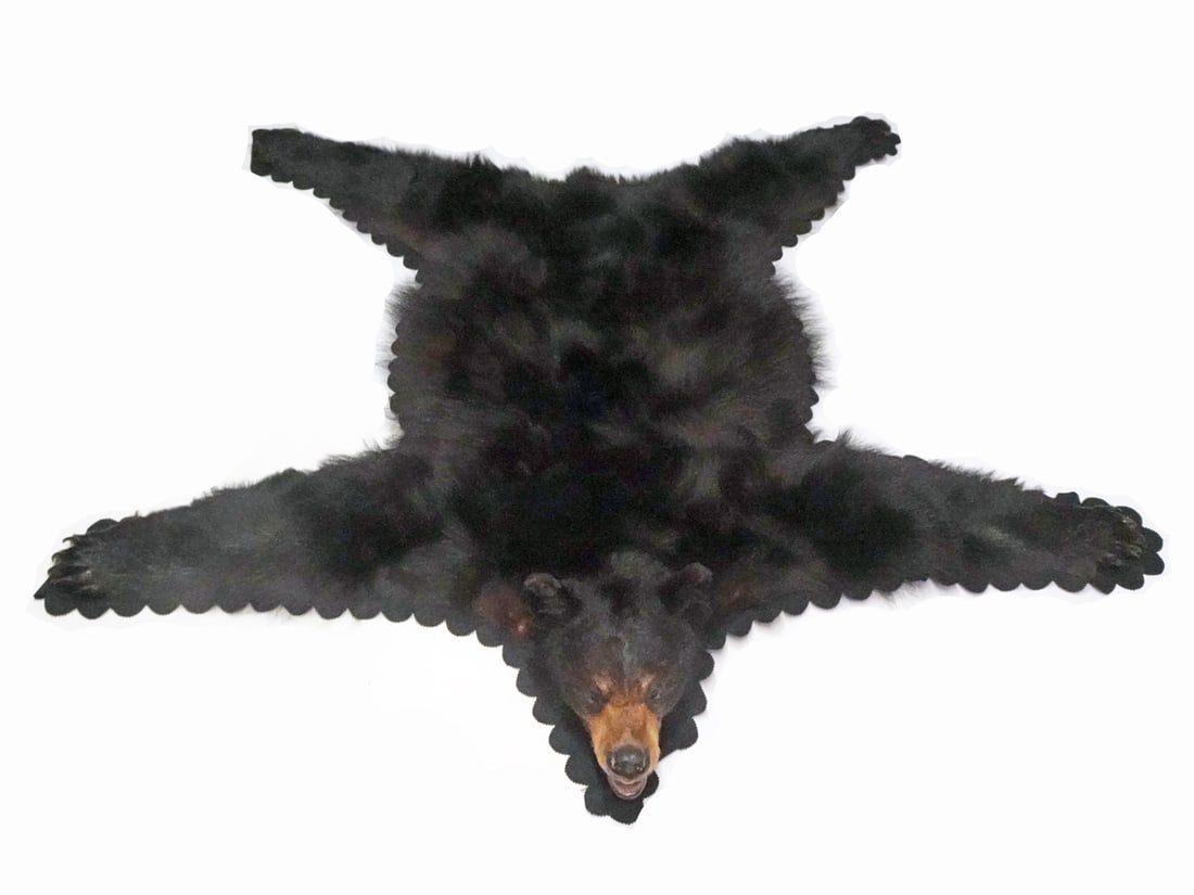 Taxidermy Black Bear Skin Rug (1 of 3)
