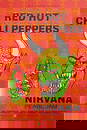 Red Hot Chili Peppers Concert Poster