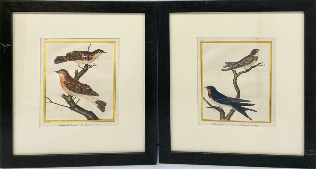 Francois Nicolas Martinet Hand Colored Engravings (1 of 2)
