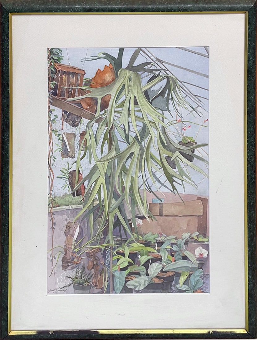 Lynne S. Kennedy Watercolor on Paper: Lynne S. Kennedy (20th c. Pennsylvania artist) watercolor on paper, titled on verso Staghorn, signed lower left Lynne S. Kennedy, 20 7/8" (h) x 12 7/8" sight size, 29" (h) x 21" frame size