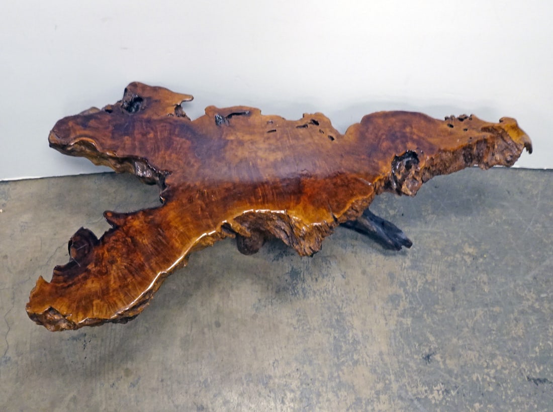 Live Edge Driftwood Coffee Table (1 of 1)