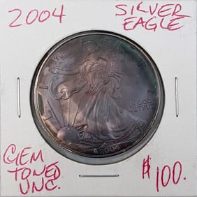 2004 Silver American Eagle