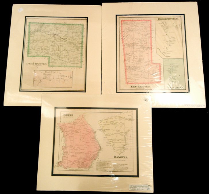 Three matted hand colored township maps,: Three matted hand colored township maps, late 19th C., two combination atlas maps of Montgomery County, which includes Upper Hanover Palm Station with COA, New Hanover, Zieglersville, Limerick Square