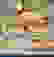 item-31834983=3