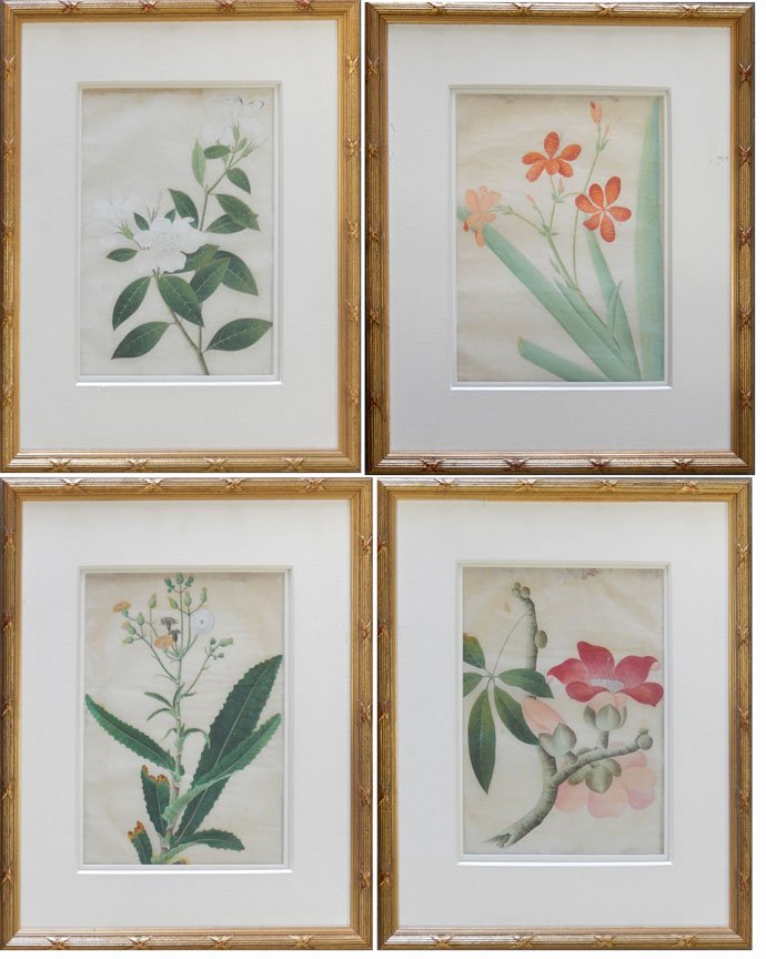 Chinese School four watercolors on paper: Chinese School four watercolors on paper, botanicals, ca.1800, with 1993 receipt from T.G. Ashjean Interiors Inc. Design and Decoration, frame size 18" x 14 1/2"