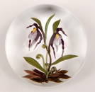 Chris Buzzini art glass paperweight