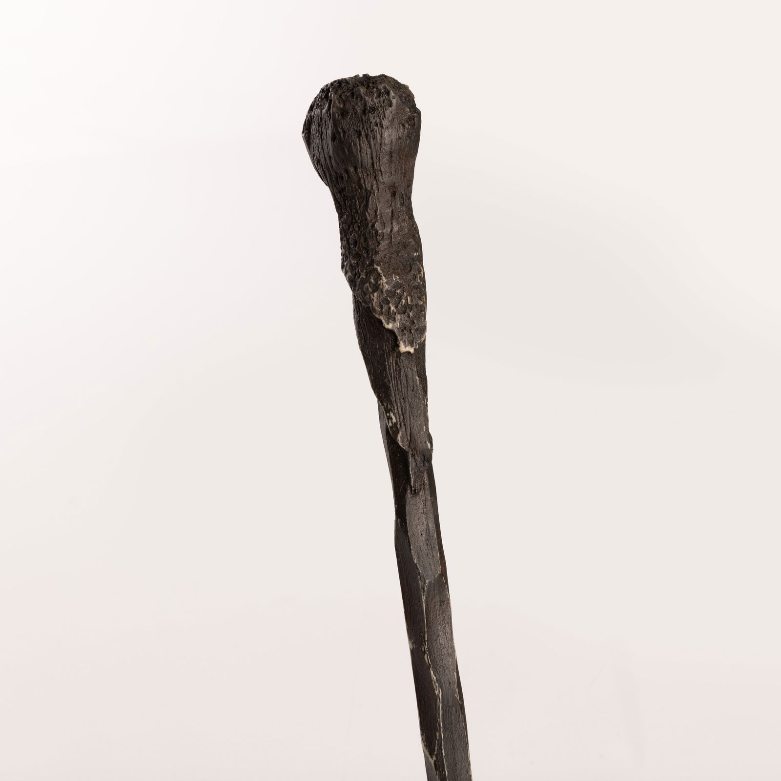 Harry Potter and the Order of the Phoenix (2007) - Ron Weasey Wand (1 of 3)