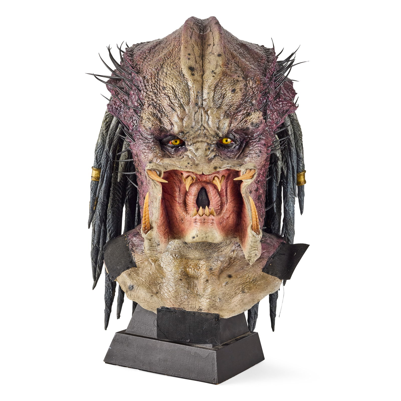 Emissary Predator Display Head from AvP (1 of 5)