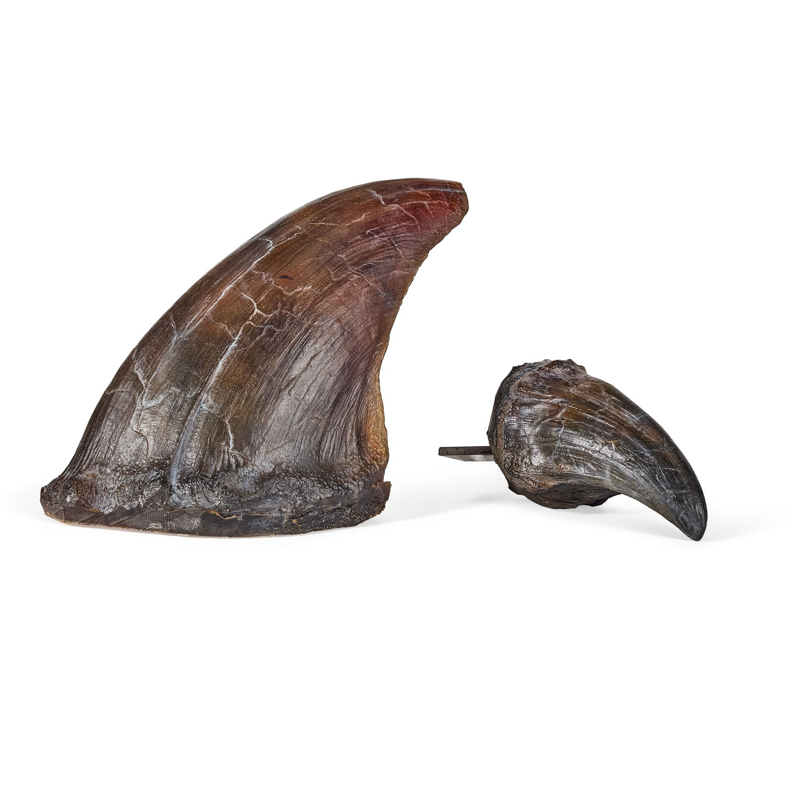 T-Rex 2 Large Talons from Jurassic Park (1 of 5)