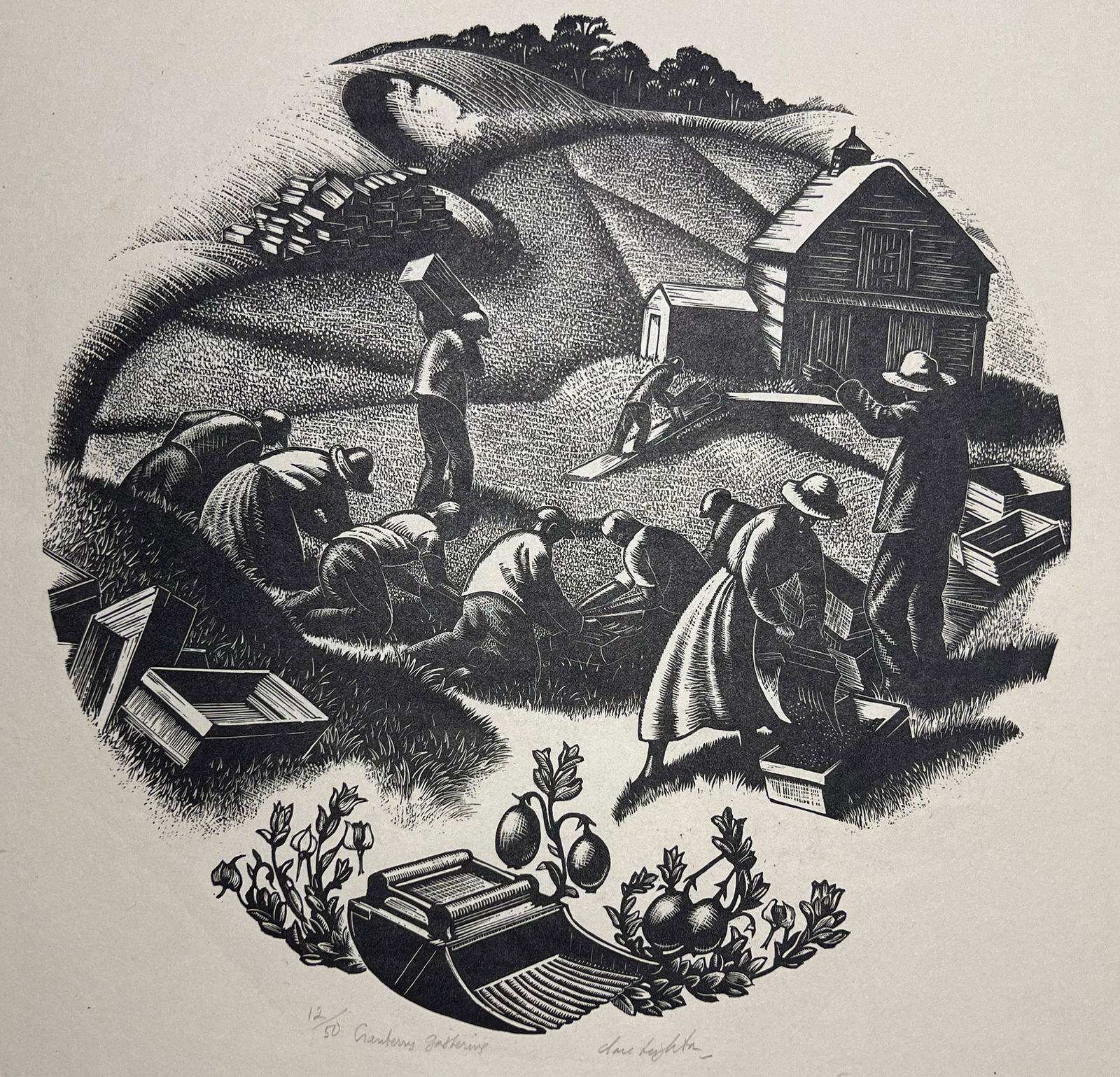 Clare Leighton "Cranberry Gathering" (1 of 3)