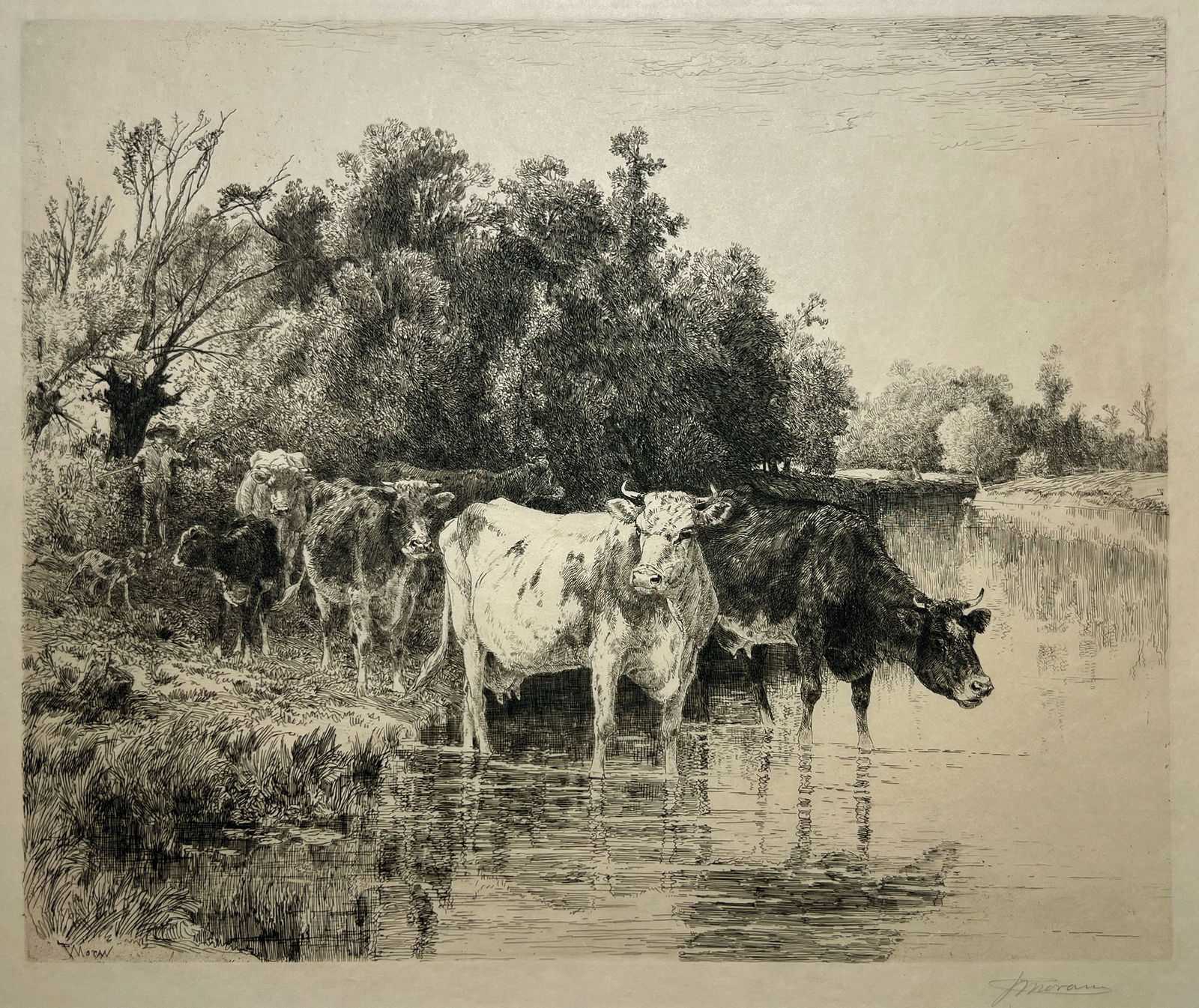Peter Moran "Crossing the River": 1885. Engraving. Provenance: Private collection, York, NE. Signed lower right. Plate size: 13 X 15 inches. Sheet size: 15.5 X 17 inches. For further information or questions regarding this lot, please