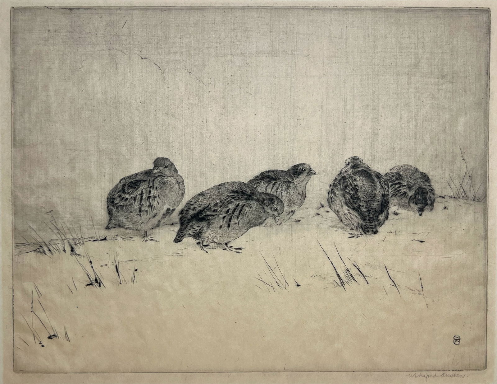 Winifred Austen "Little Convey" (1 of 3)