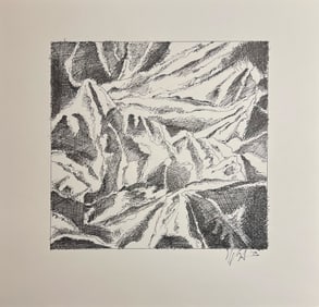 Dan Howard "Disasters Study"