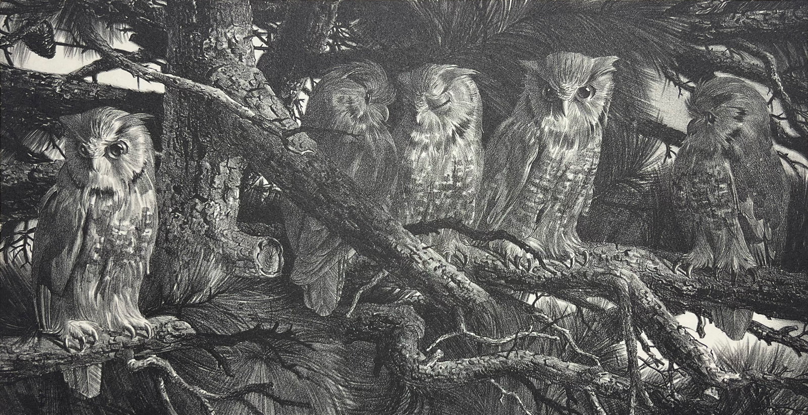 Stow Wengenroth "Owls": Lithograph. Signed lower right. Plate: 8.75 x 16.5 inches, Sheet: 12.5 x 19 inches. Private collection, York, NE