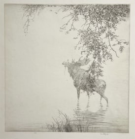 Hans Kleiber "Shadows"