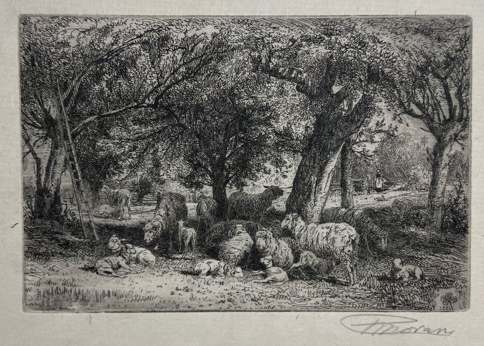 Peter Moran "Sheep Resting": Etching. Plate: 4.5 x 6.5 inches. Sheet: 6.5 x 8.25 inches. Signed lower right
