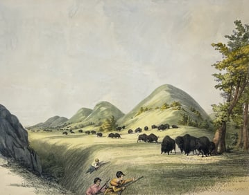 George Catlin "Buffalo Hunt Approaching in a Ravine"