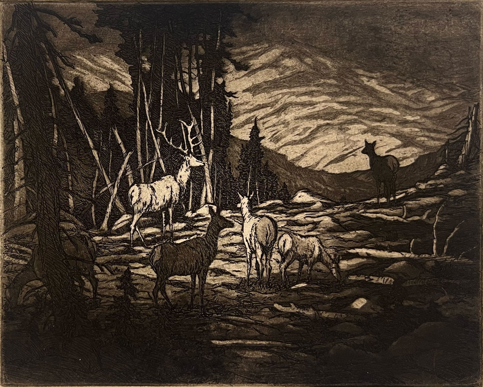 Hans Kleiber "Elk in the Moonlight": Etching. Plate: 8 x 9.75 inches. Sheet: 9 x 12.5 inches