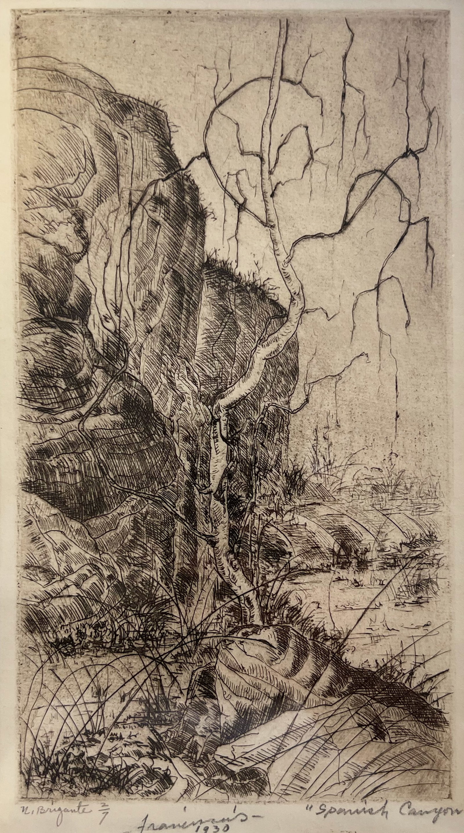 Nicholas Brigante "Spanish Canyon" (1 of 2)