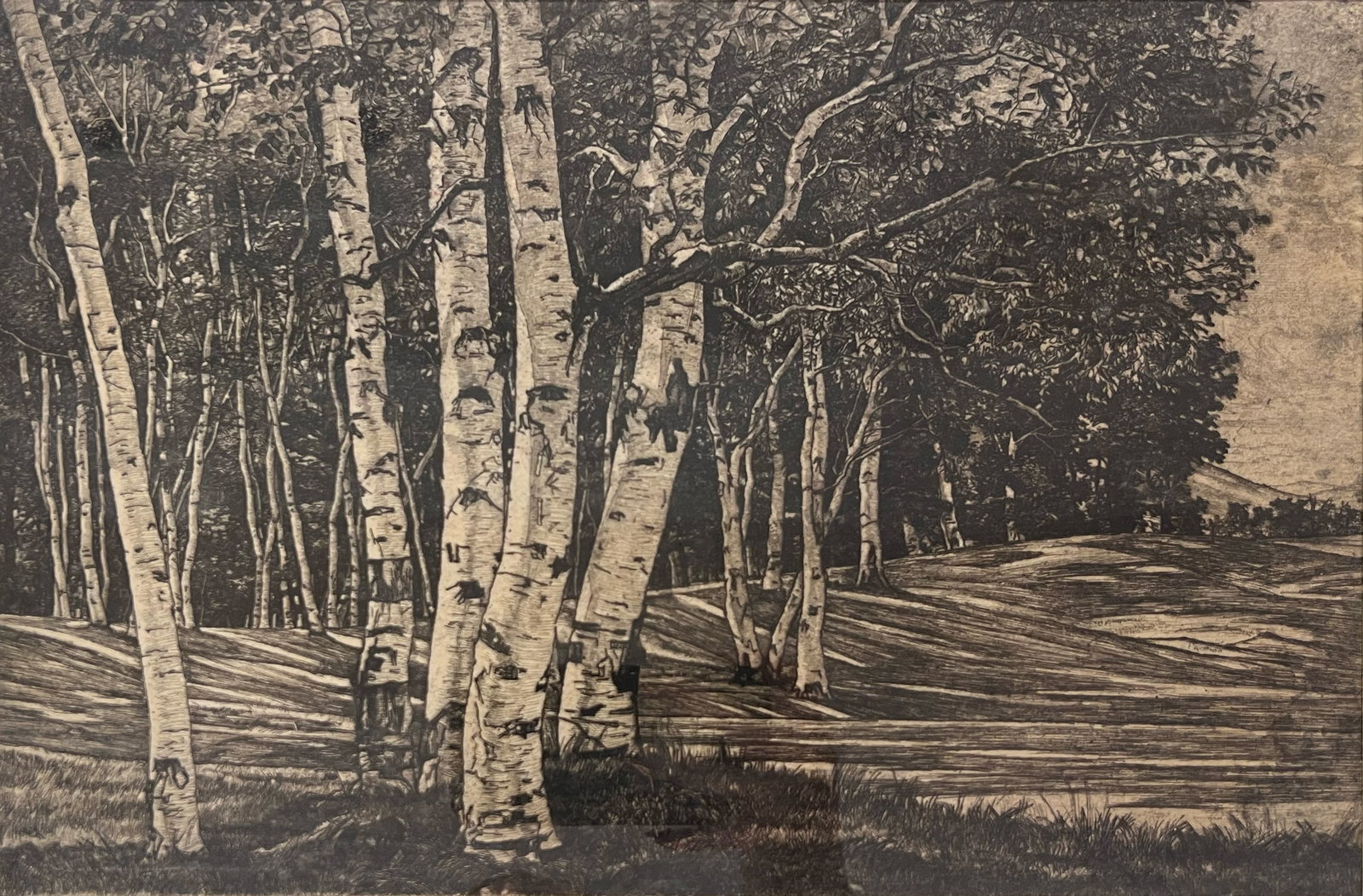 Luigi Lucioni "Birch Processional" (1 of 2)