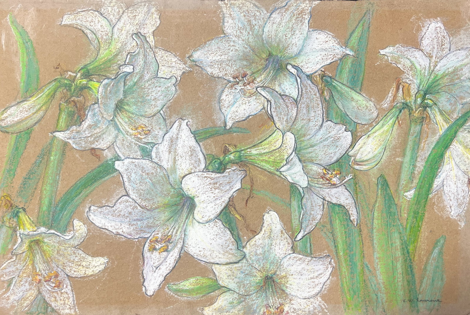 Edna Lawrence "Lilies": Pastel and graphite on paper. 14.5 x 20.5 inches. Signed lower right