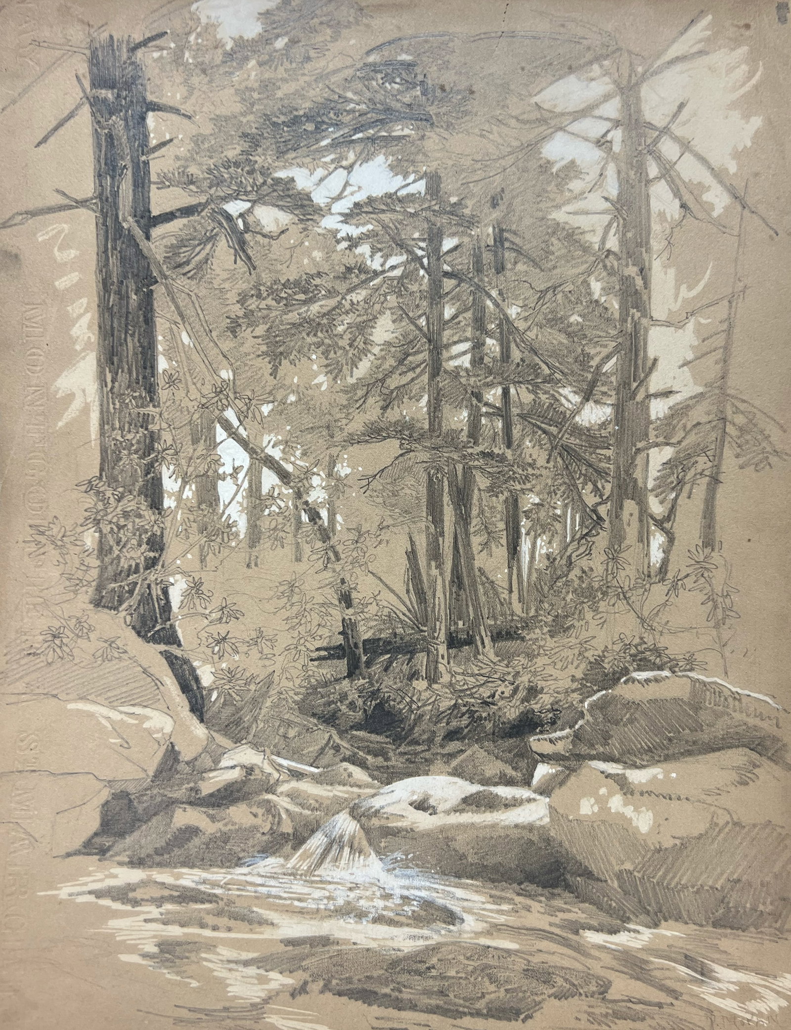 Peter Moran "Forest Study": c. 1880. Graphite and gouache on paper. 13 x 10 inches. Graphite and gouache on paper.