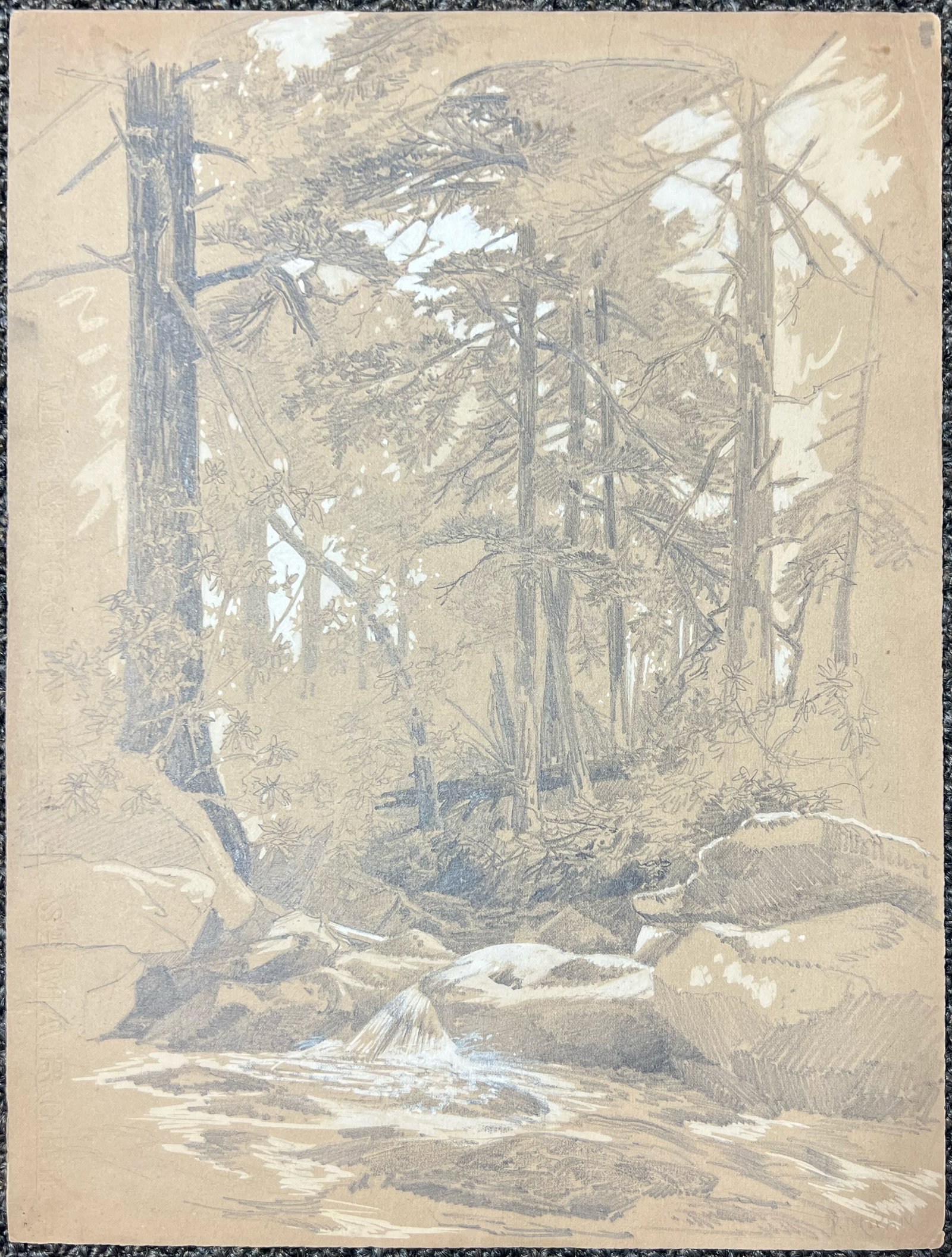 Peter Moran "Forest Study" - 2