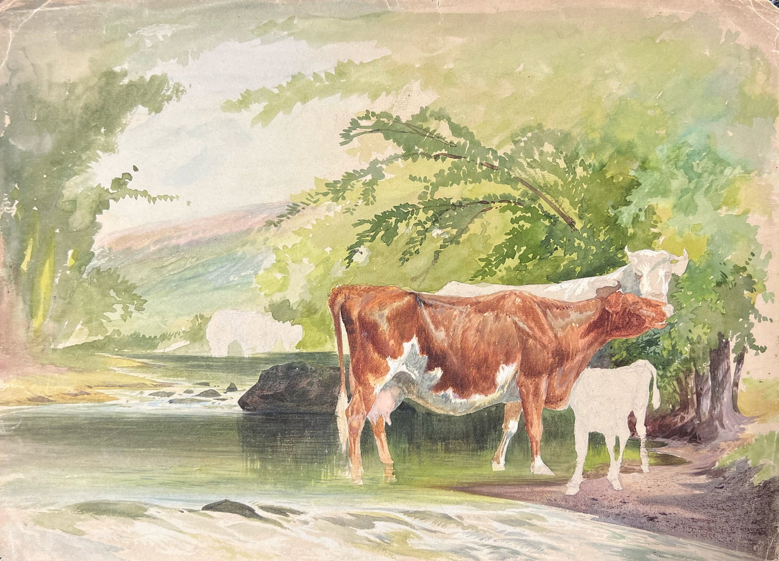 Peter Moran "Cattle": c. 1880. Watercolor on paper. 11 x 15 inches.