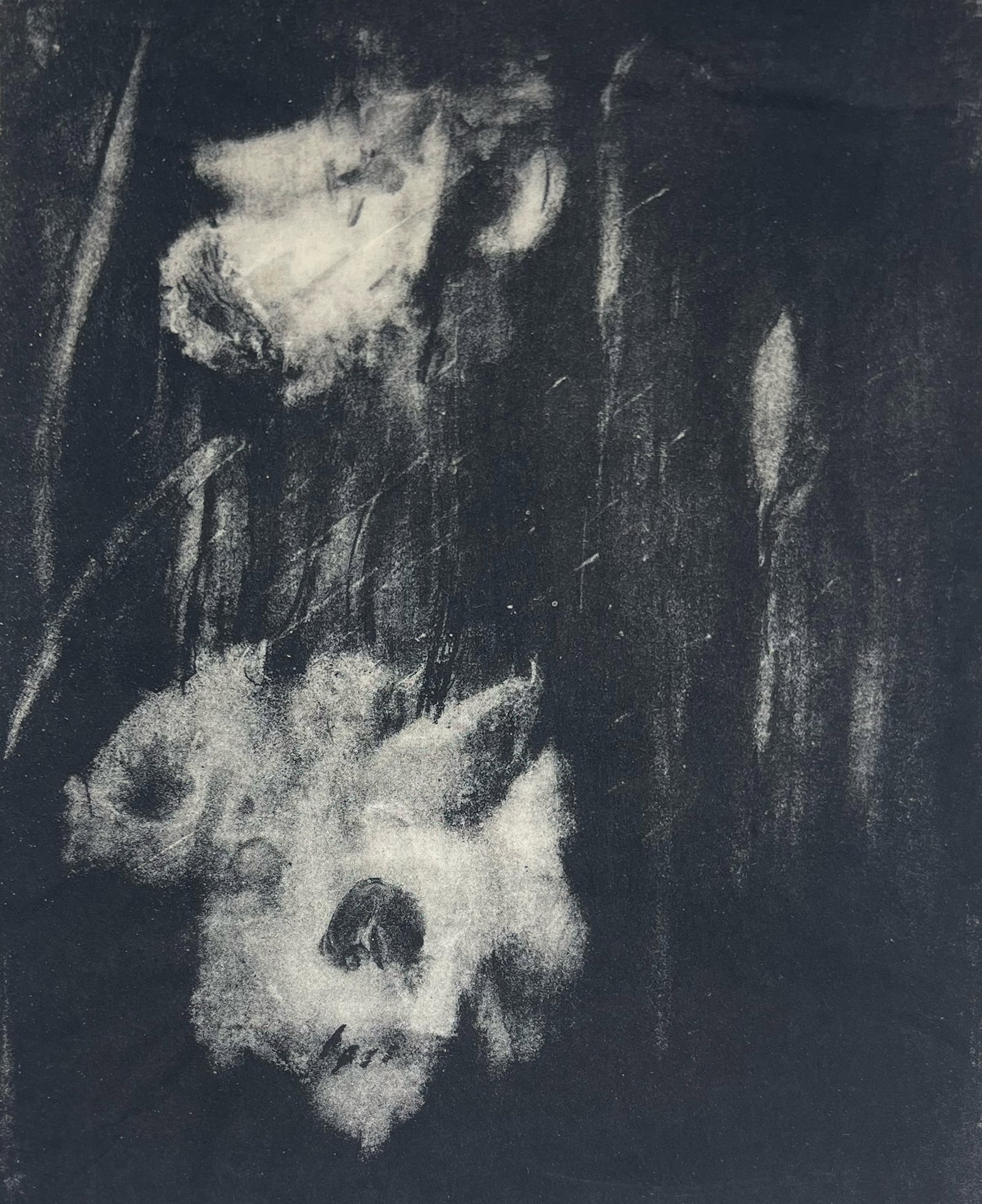 Lily Blatherwick and James Smillie (1 of 4)
