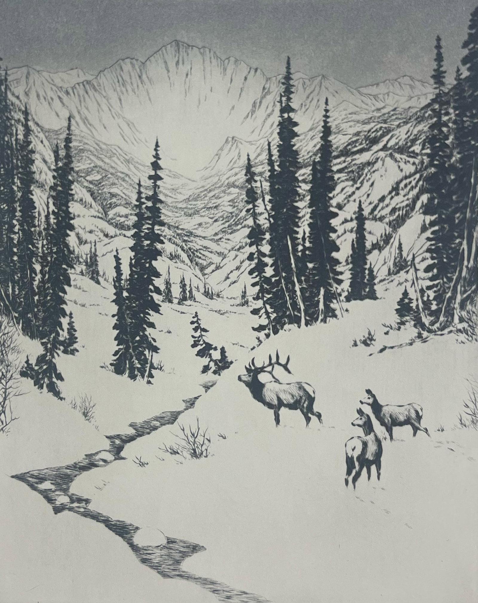 Hans Kleiber (Group of 3): Hans Kleiber group of 3 etchings. #1: Fall in the Rockies. #2: The Old Cottonwood Tree. #3: A Moose.#1: Fall in the Rockies (Plate: 11x9 in. Sheet: 14.5x12.5 in). #2: The Old Cottonwood Tree (Plate: 7